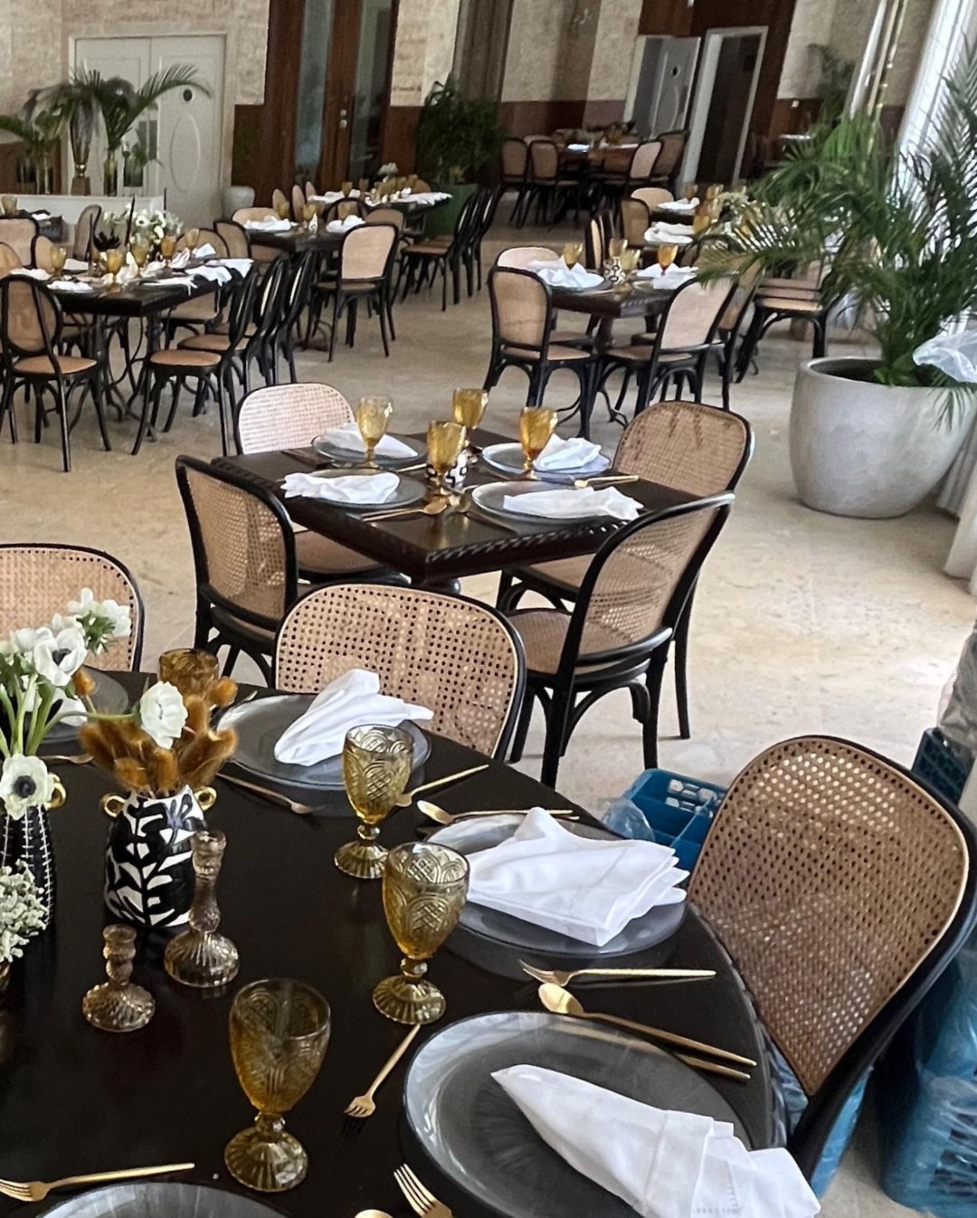 3791B17D-453D-4747-BB58-C3DE13B87437