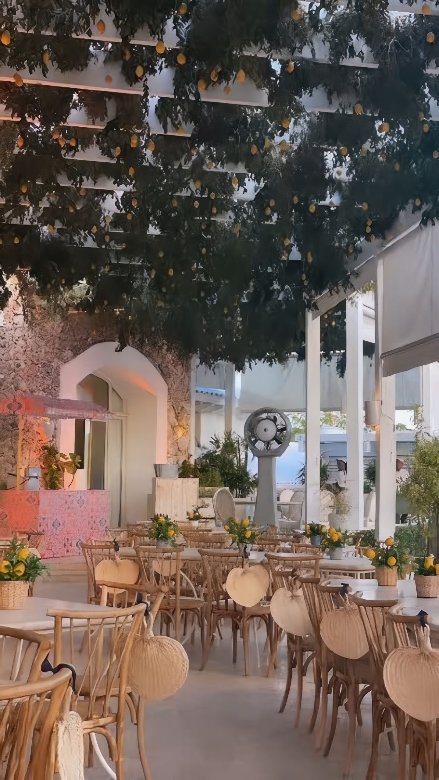 Diseño sin título (20)