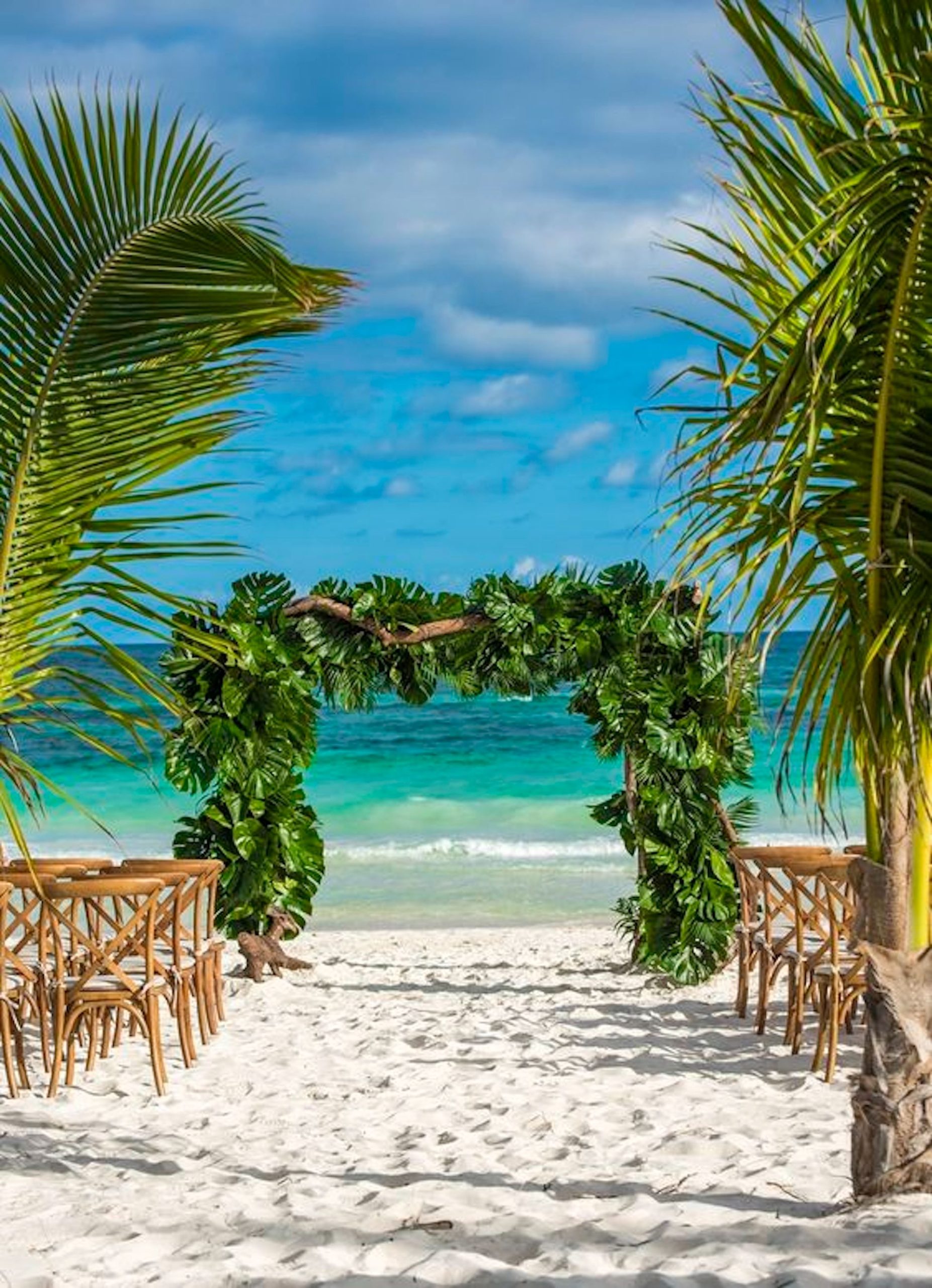 f0a61a88478c6ebd077d8bd136131559